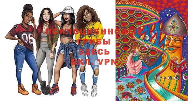 амфетамин Каменка